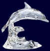dolphin.jpg (16067 個位元組)