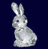 rabbit.jpg (11102 個位元組)